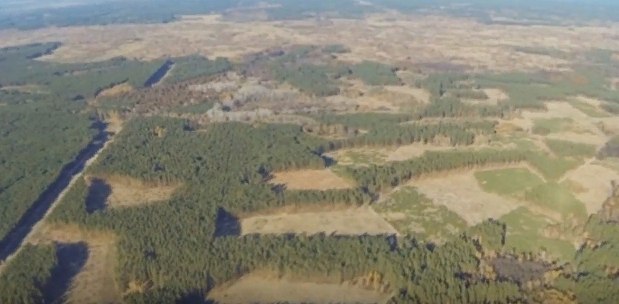 Алена Андерс